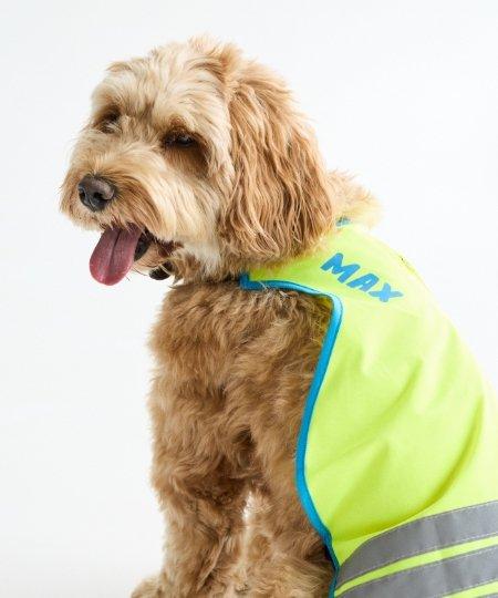 Personnalisez vos articles