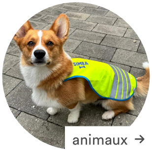 Personnalisez vos articles