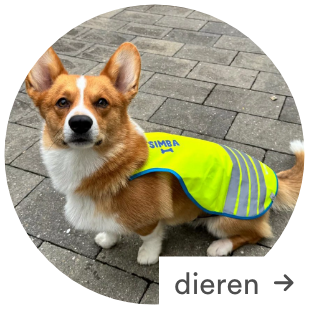 Personaliseer je items met JBC