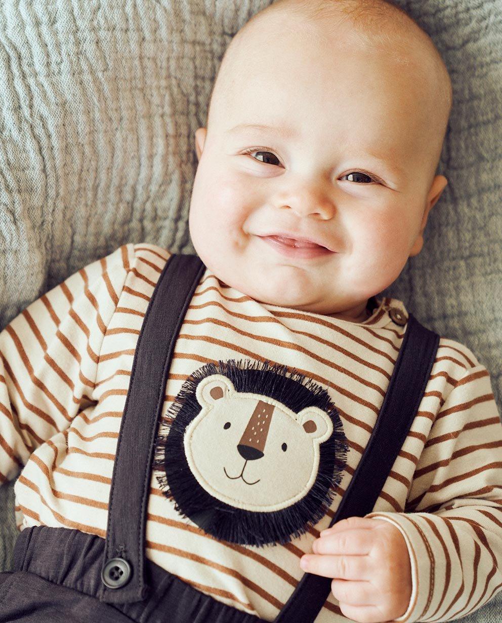 Petit lion robuste