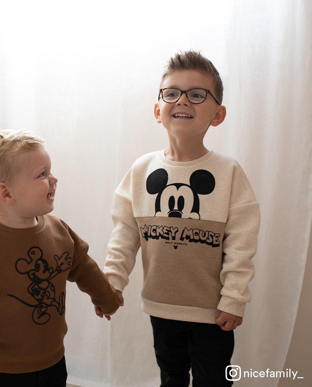 Le meilleur ami de Mickey